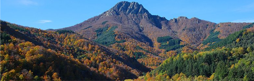 MONTSENY