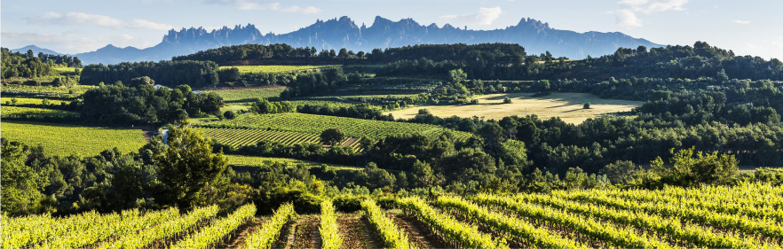 PENEDÈS
